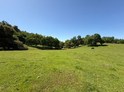 Airola Road, Vallecito, CA 95251 Photo