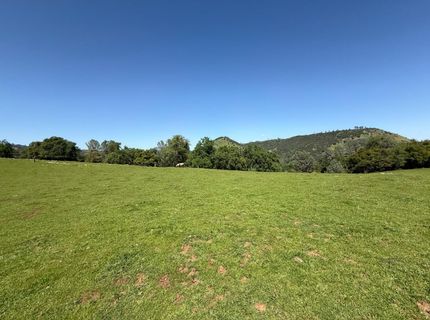 Airola Road, Vallecito, CA 95251 Photo