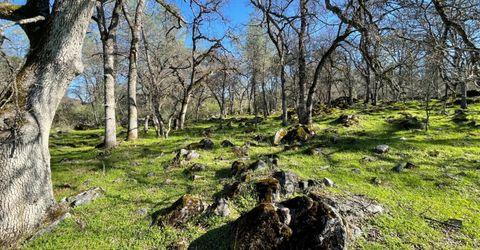 Airola Road, Vallecito, CA 95251 Photo