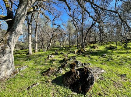 Airola Road, Vallecito, CA 95251 Photo