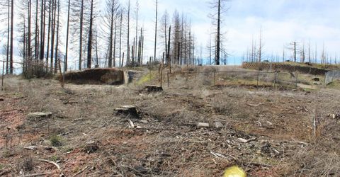 4944 Deerwood Dr, Grizzly Flats, CA 95636 Photo