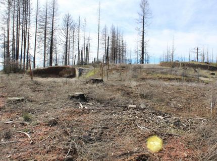 4944 Deerwood Dr, Grizzly Flats, CA 95636 Photo