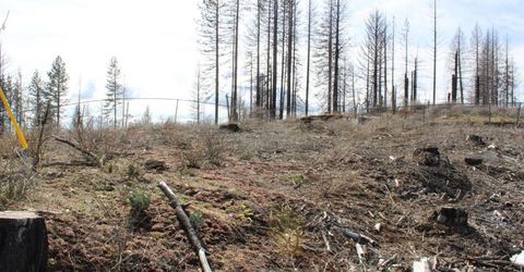 4944 Deerwood Dr, Grizzly Flats, CA 95636 Photo