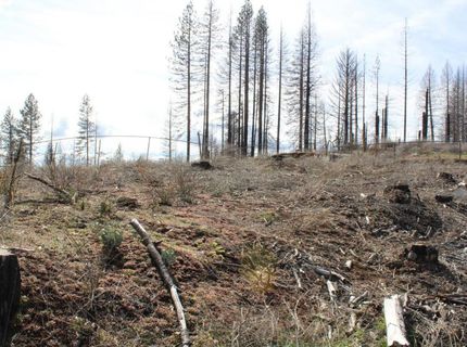 4944 Deerwood Dr, Grizzly Flats, CA 95636 Photo