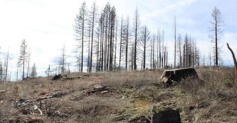 4944 Deerwood Dr, Grizzly Flats, CA 95636 Photo