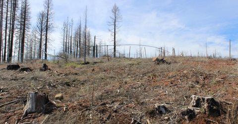 4944 Deerwood Dr, Grizzly Flats, CA 95636 Photo