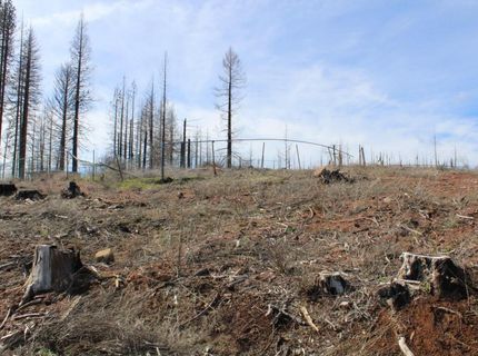 4944 Deerwood Dr, Grizzly Flats, CA 95636 Photo