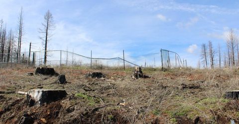 4944 Deerwood Dr, Grizzly Flats, CA 95636 Photo