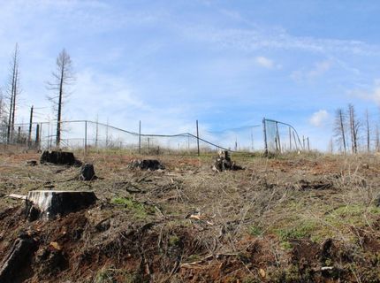 4944 Deerwood Dr, Grizzly Flats, CA 95636 Photo