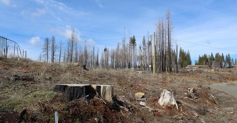 4944 Deerwood Dr, Grizzly Flats, CA 95636 Photo