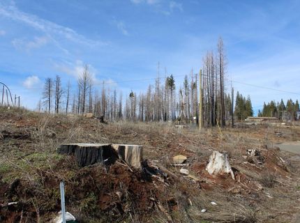 4944 Deerwood Dr, Grizzly Flats, CA 95636 Photo