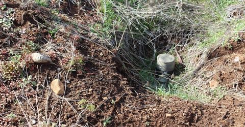 4944 Deerwood Dr, Grizzly Flats, CA 95636 Photo