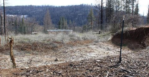 4944 Deerwood Dr, Grizzly Flats, CA 95636 Photo