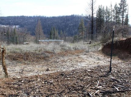 4944 Deerwood Dr, Grizzly Flats, CA 95636 Photo