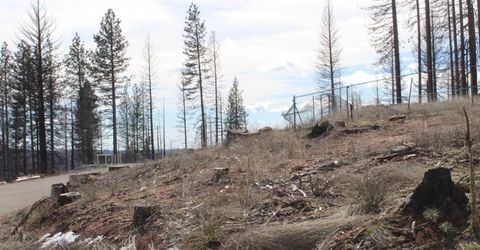 4944 Deerwood Dr, Grizzly Flats, CA 95636 Photo