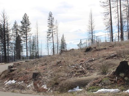 4944 Deerwood Dr, Grizzly Flats, CA 95636 Photo