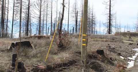 4944 Deerwood Dr, Grizzly Flats, CA 95636 Photo