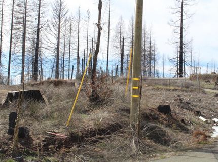 4944 Deerwood Dr, Grizzly Flats, CA 95636 Photo