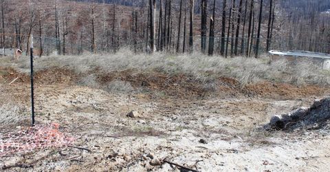 4944 Deerwood Dr, Grizzly Flats, CA 95636 Photo