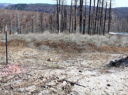 4944 Deerwood Dr, Grizzly Flats, CA 95636 Photo