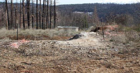 4944 Deerwood Dr, Grizzly Flats, CA 95636 Photo