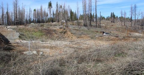 4944 Deerwood Dr, Grizzly Flats, CA 95636 Photo