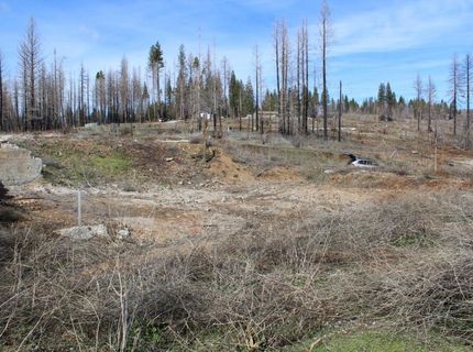 4944 Deerwood Dr, Grizzly Flats, CA 95636 Photo