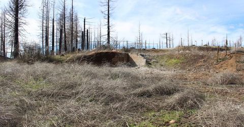 4944 Deerwood Dr, Grizzly Flats, CA 95636 Photo