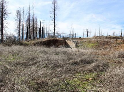 4944 Deerwood Dr, Grizzly Flats, CA 95636 Photo