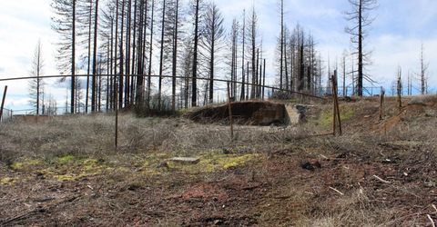 4944 Deerwood Dr, Grizzly Flats, CA 95636 Photo