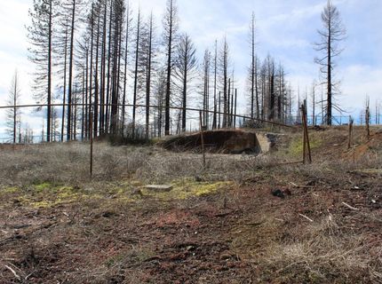 4944 Deerwood Dr, Grizzly Flats, CA 95636 Photo