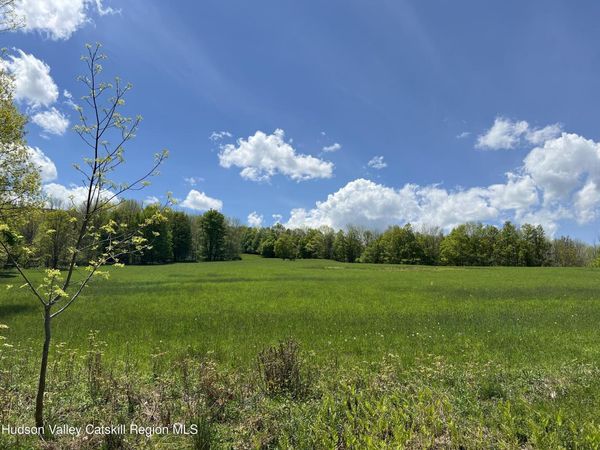 164 Ray Cottone Road, Roxbury, NY 12474