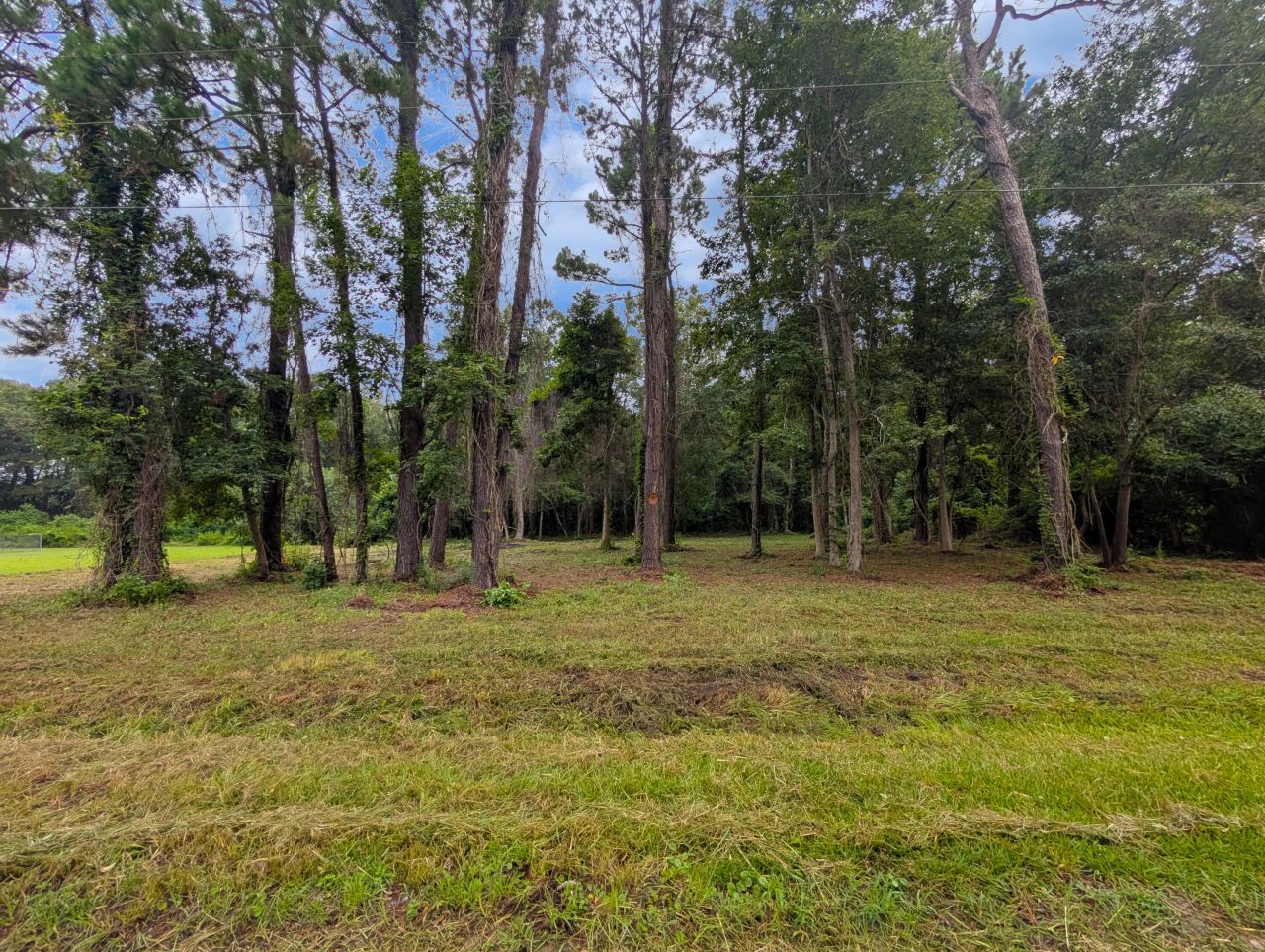 538 Mercantile Road Photo 4