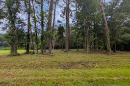 538 Mercantile Road photo 4