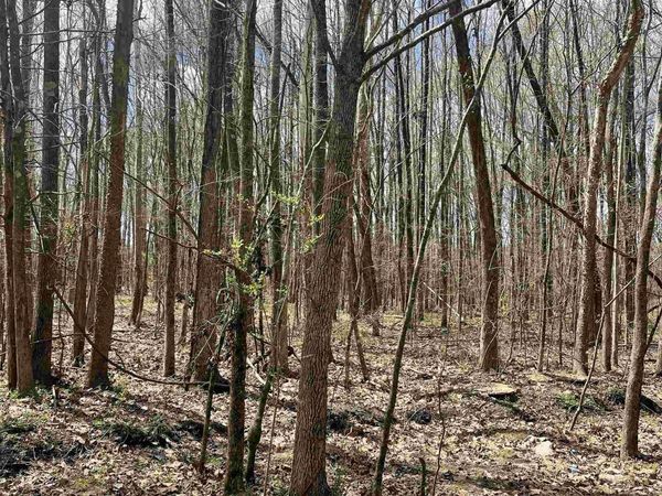 555 WOODLAND TRACE LN, Cordova, TN 38018