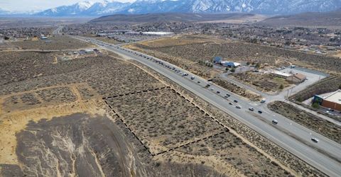 Apn 1420-06-701-001, Minden, NV 89705 Photo