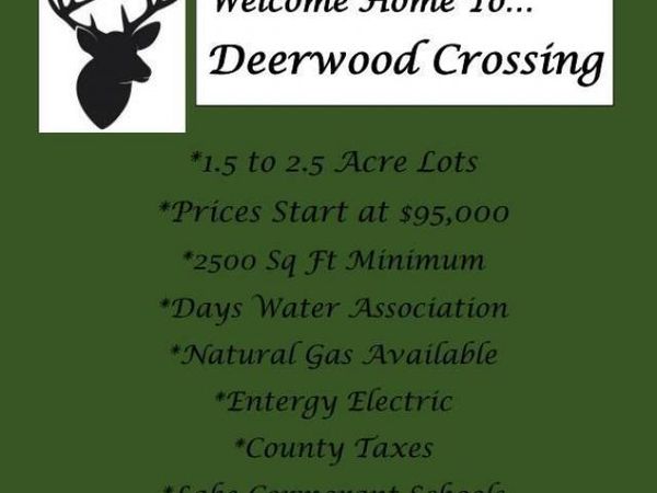 6 Hazelwood Drive, Lake Cormorant, MS 38641