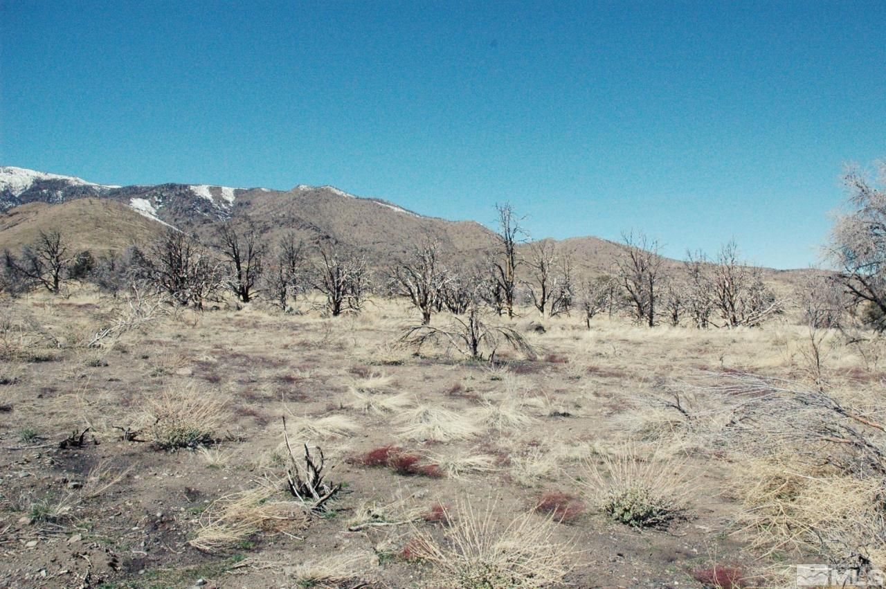 3222 Victory Circle, Gardnerville, NV 89410 Photo