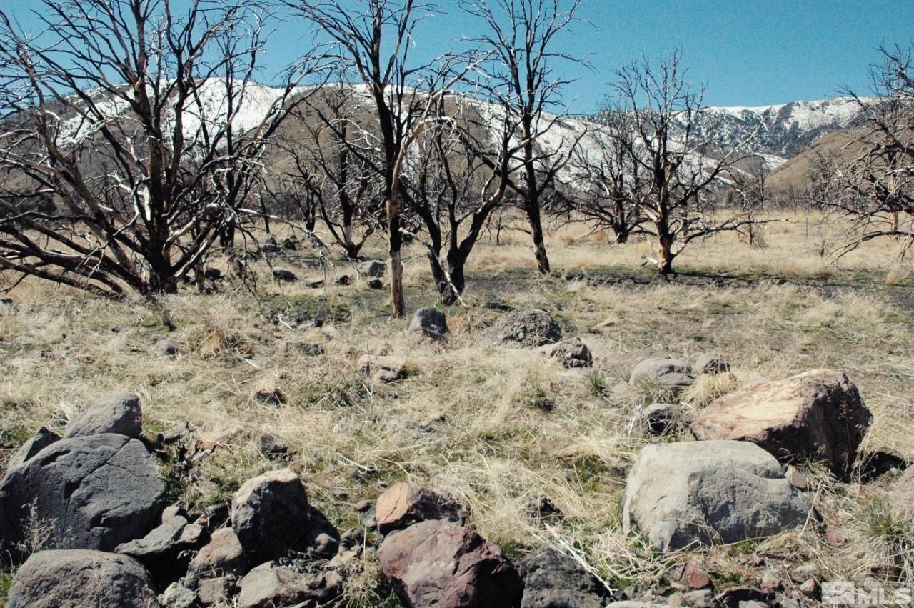 3222 Victory Circle, Gardnerville, NV 89410 Photo