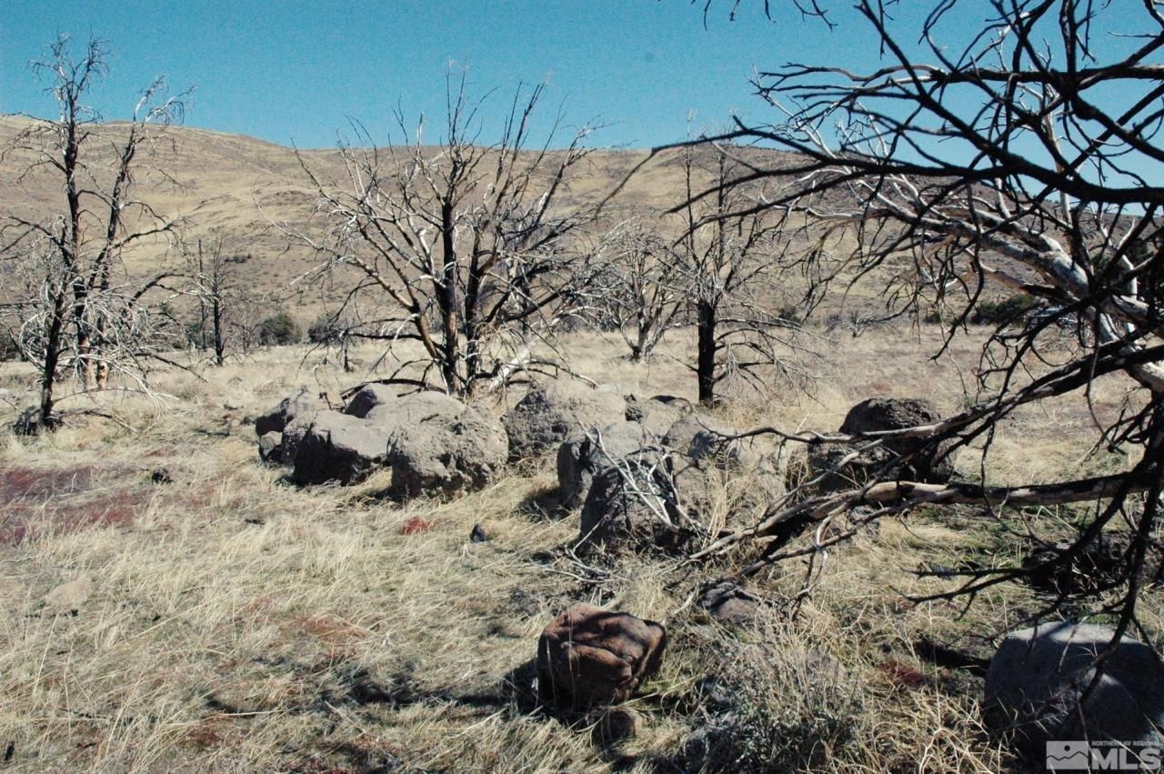 3222 Victory Circle, Gardnerville, NV 89410 Photo