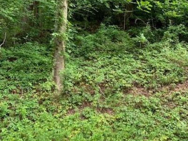 Lot 45-46 Mckenzie Way S, Old Fort, NC 28762