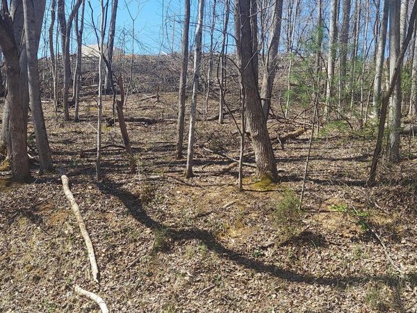 Lot 181 Ox Bow Rd, Unicoi, TN 37692