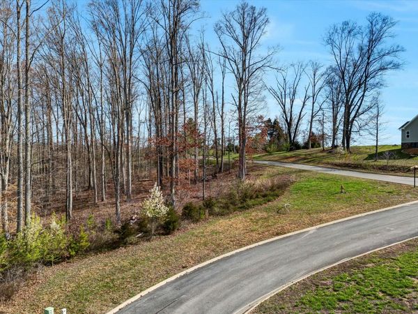 Lot 133 Saddleback Ridge Rd, Rutledge, TN 37861