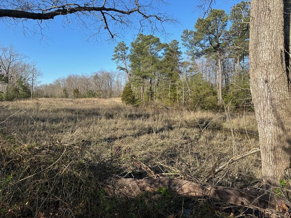 1400 Wilton Road, Hague, VA 22469 Main Photo