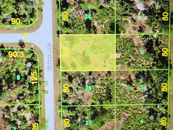 318 HALLORAN STREET, PORT CHARLOTTE, FL 33953