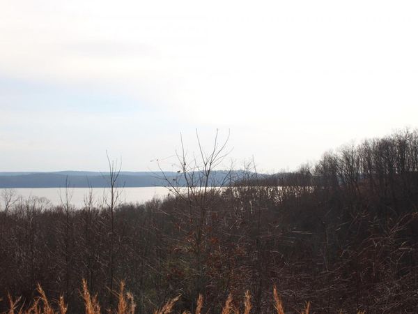 1 Golden Eagle dr, Dover, TN 37058