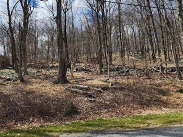 Ponderosa Road, Carmel, NY 10512