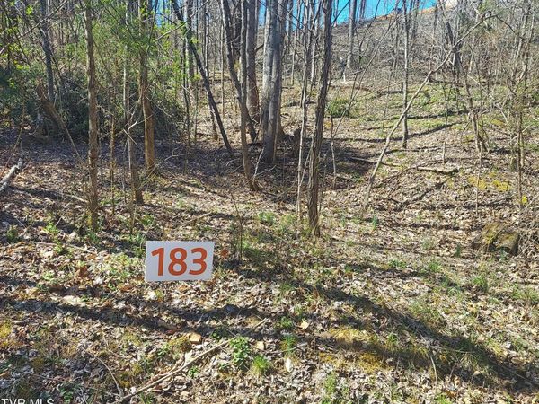 183 Ox Bow, Unicoi, TN 37692