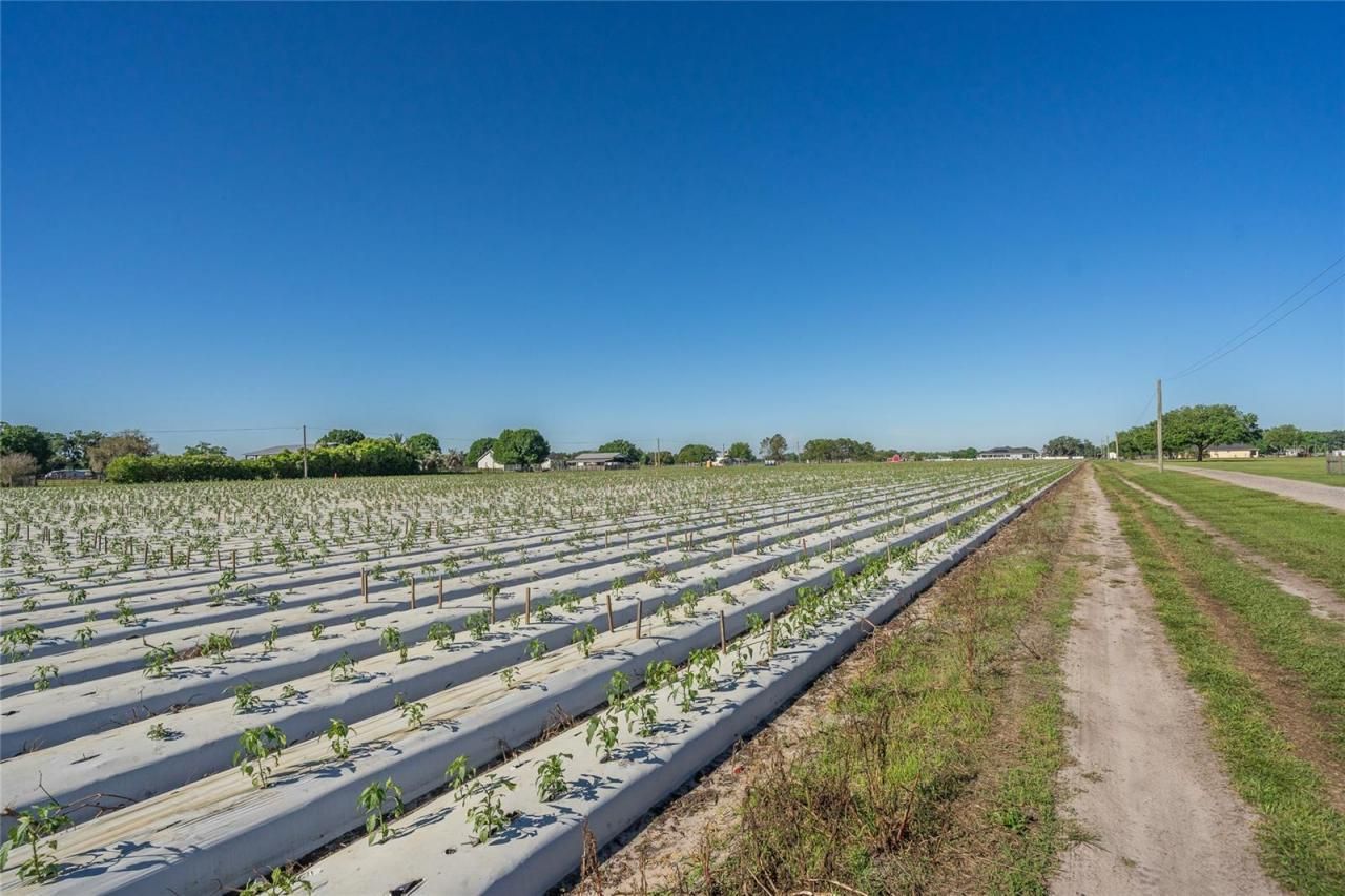 3811 Old Mulberry Road, Plant City, FL 33567 Photo