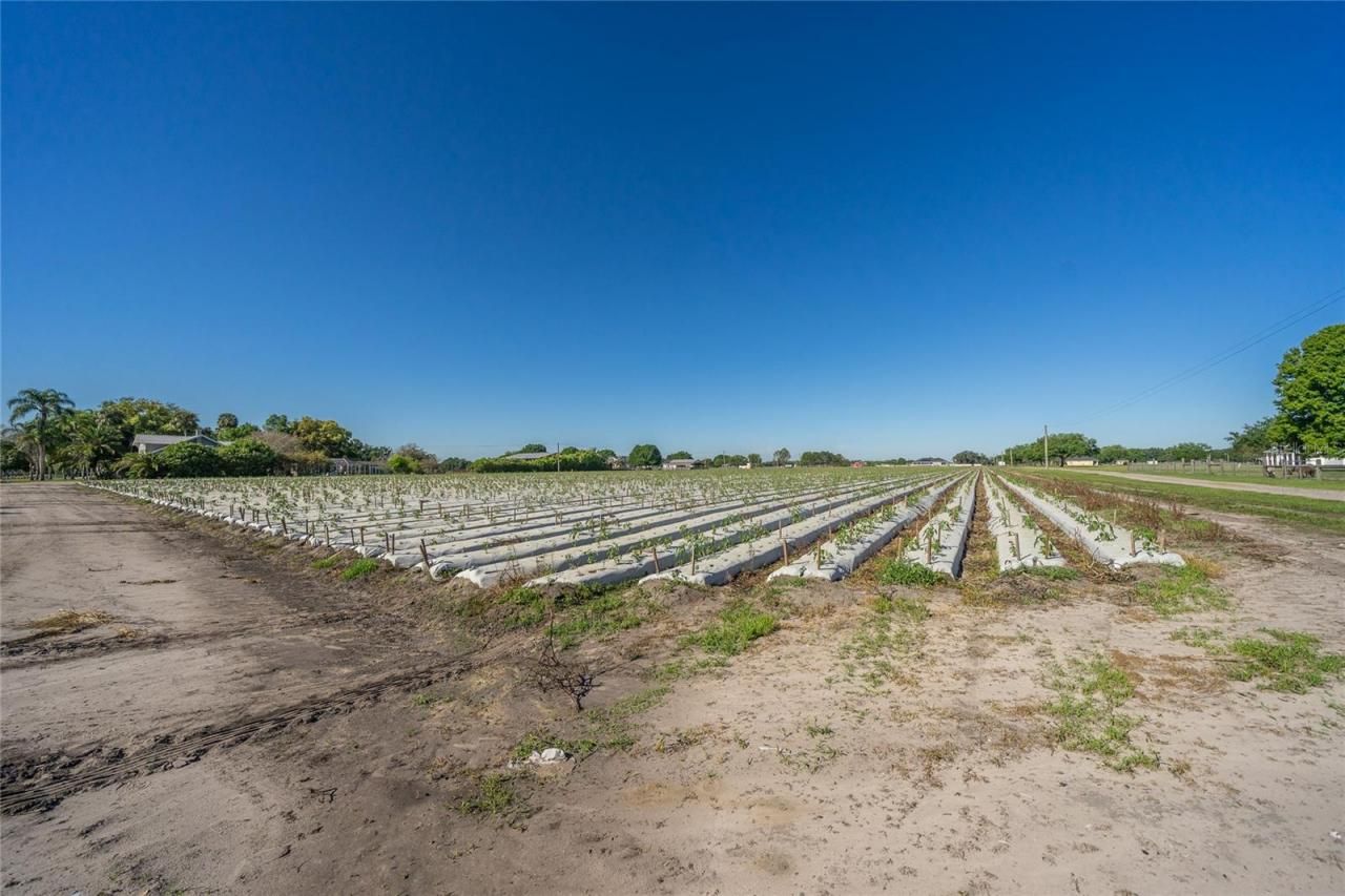 3811 Old Mulberry Road, Plant City, FL 33567 Photo